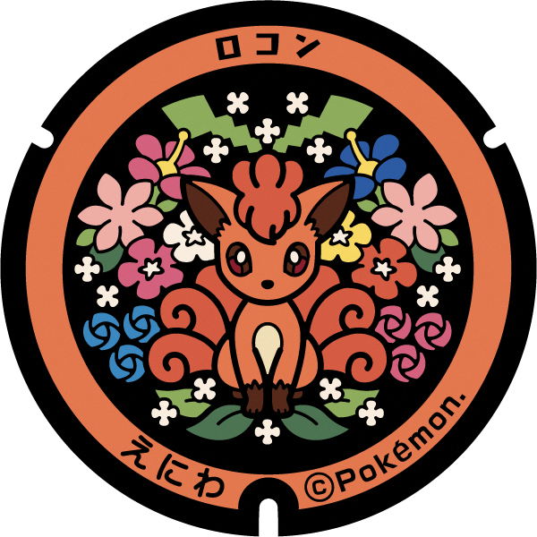 恵庭市ポケふた