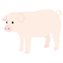 豚.png