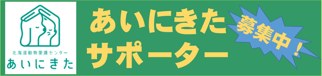 あいにきたサポーター募集中！