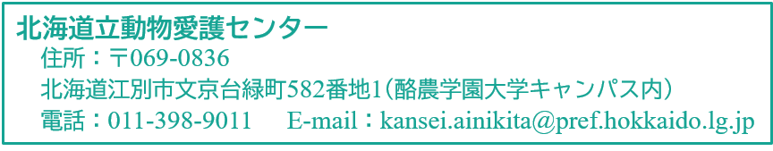 お問い合わせ先