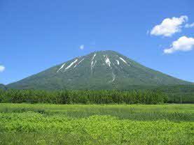 北海道の森から始めるイメージ図