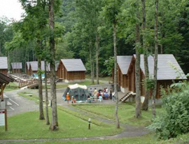 森林活用型イメージ写真