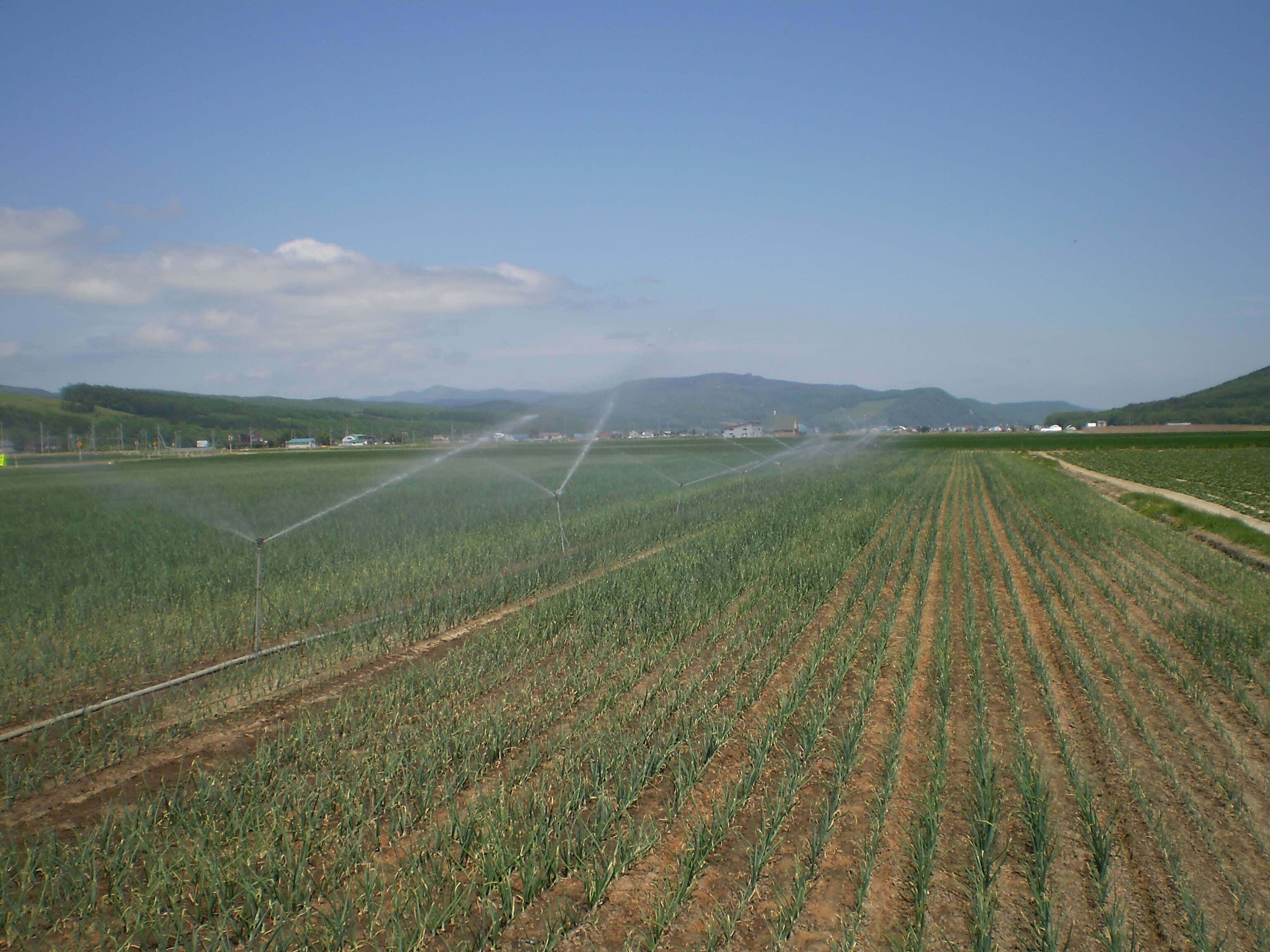 スプリンクラー