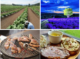 上富良野コースイメージ