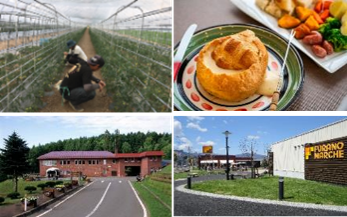 富良野コースイメージ