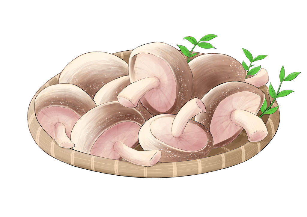 しいたけのイラスト