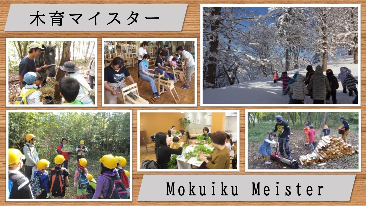 木育マイスターサムネイル画像