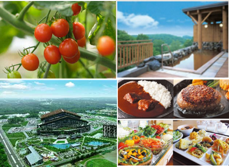 北広島コースイメージ (PNG 338KB)