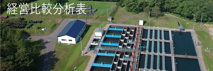 経営比較分析表