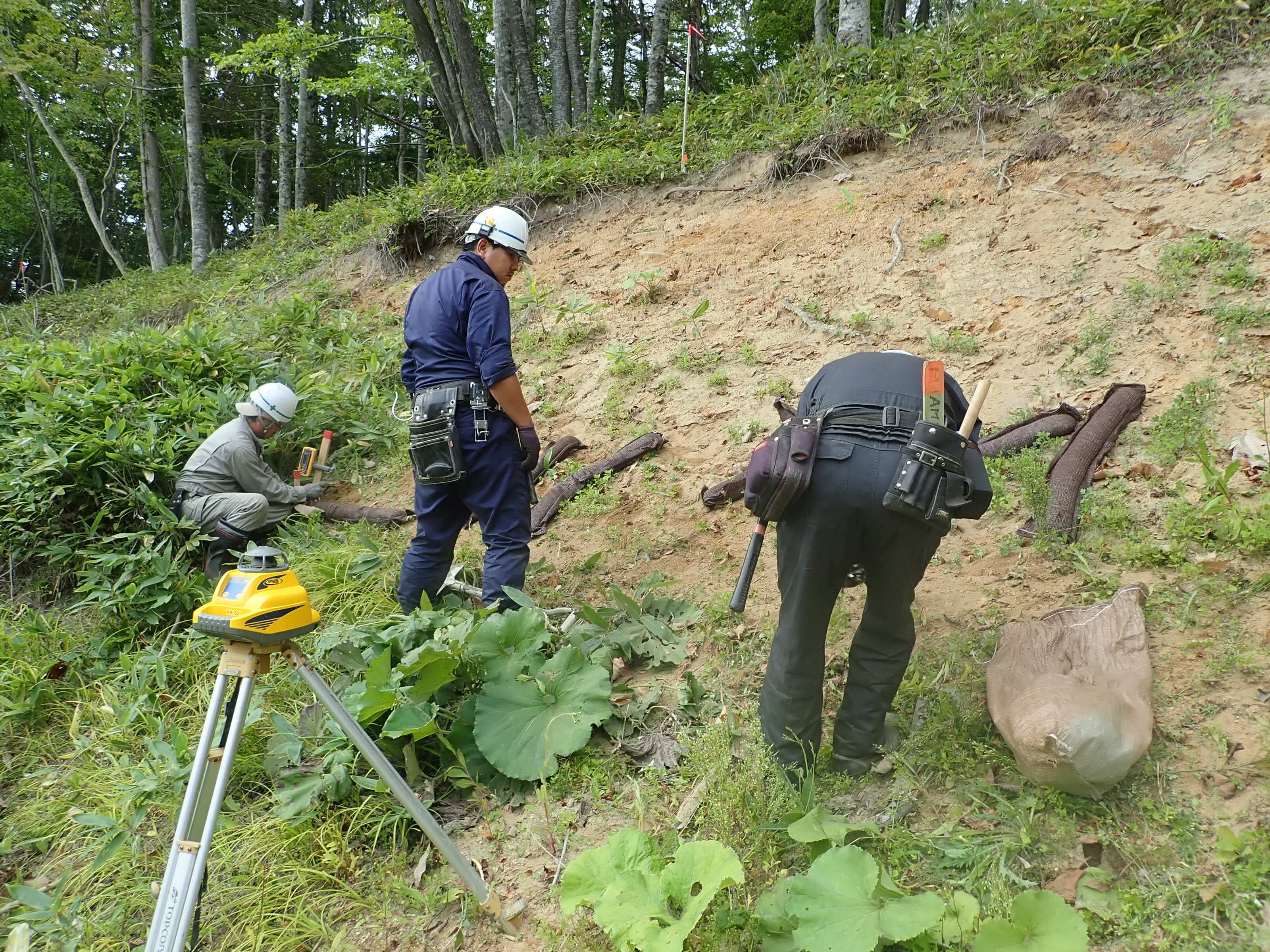 軽量化筋工の設置状況