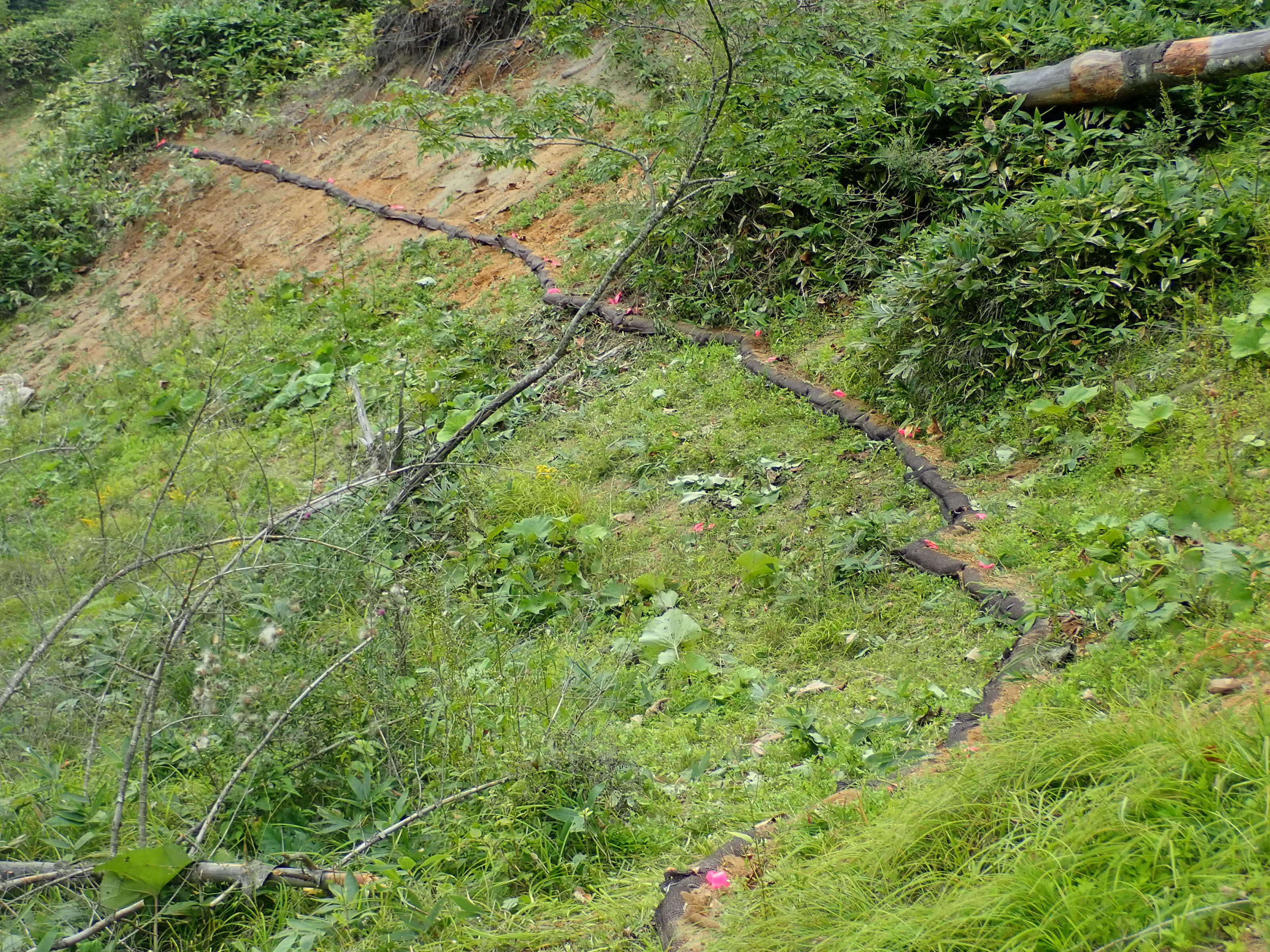 軽量化筋工設置完了状況