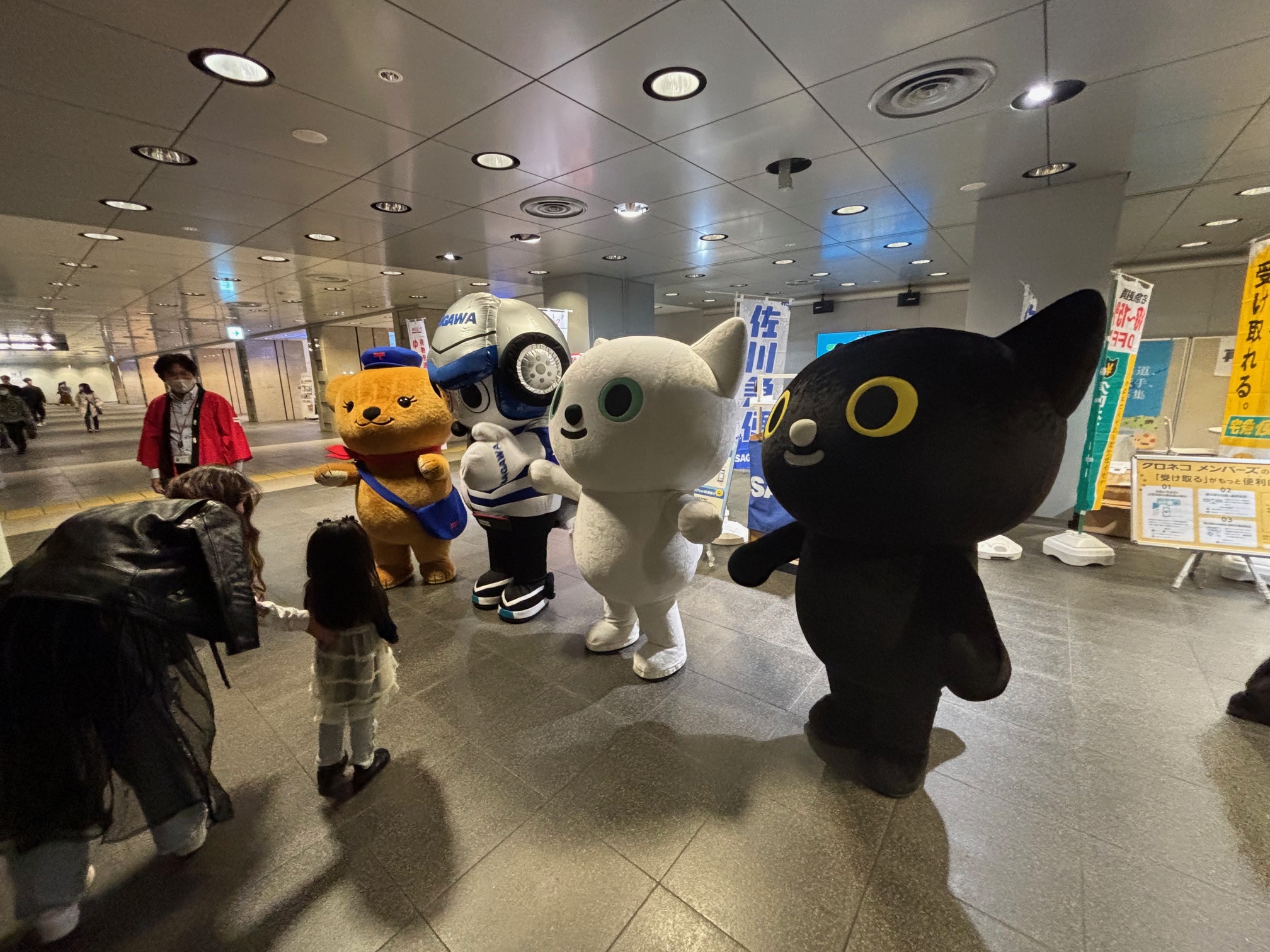 image13 (JPEG 1.06MB)