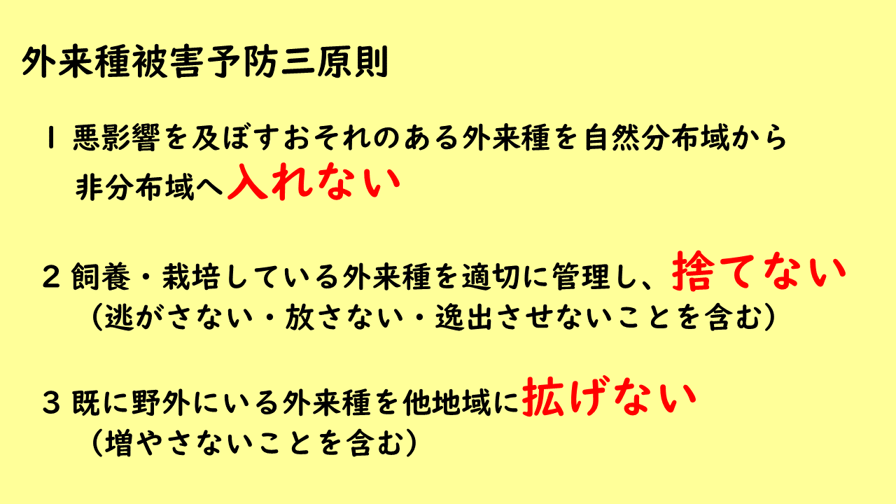外来種被害予防三原則