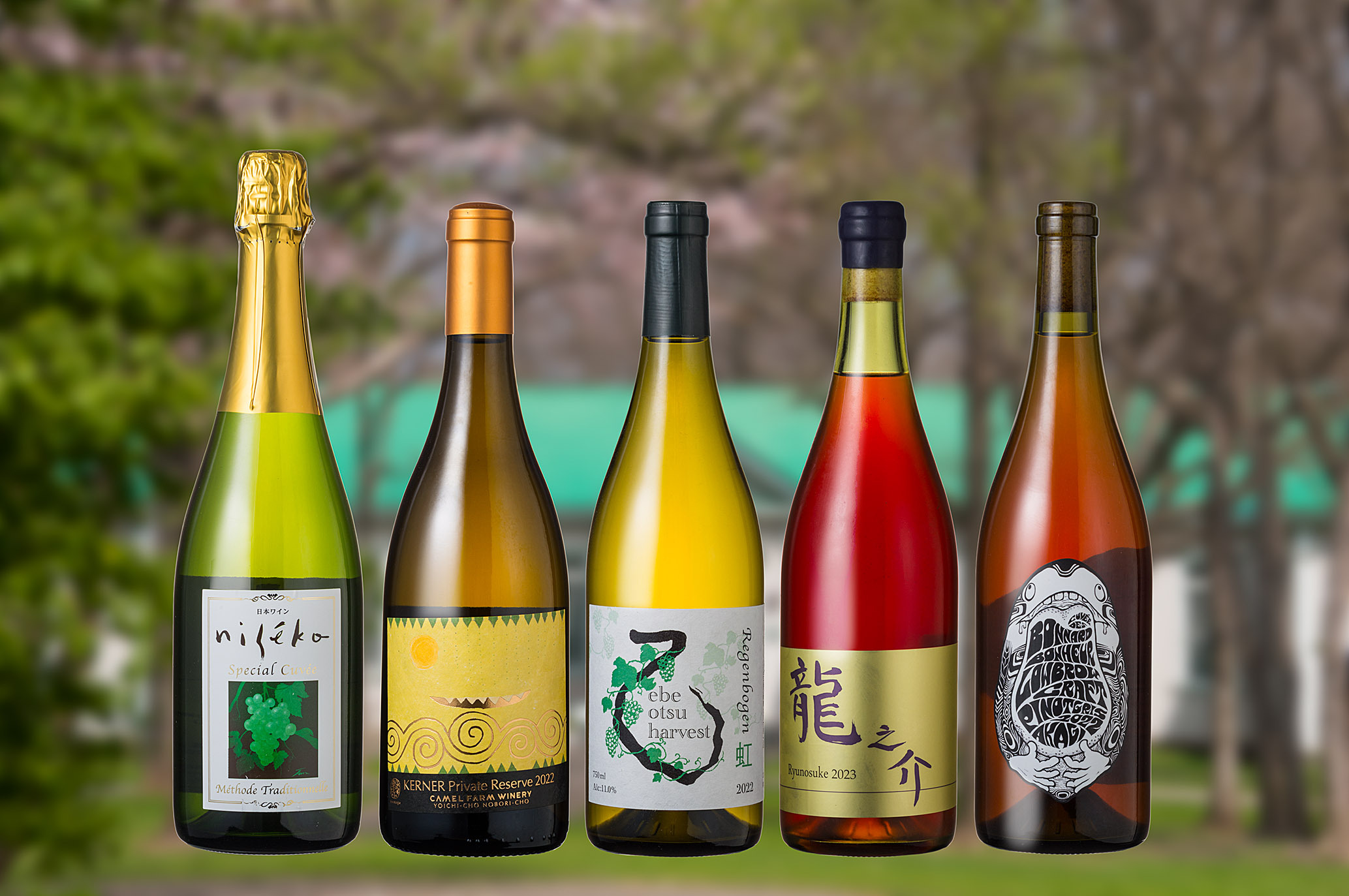 北海道ワインアカデミー　奇跡のワインセット