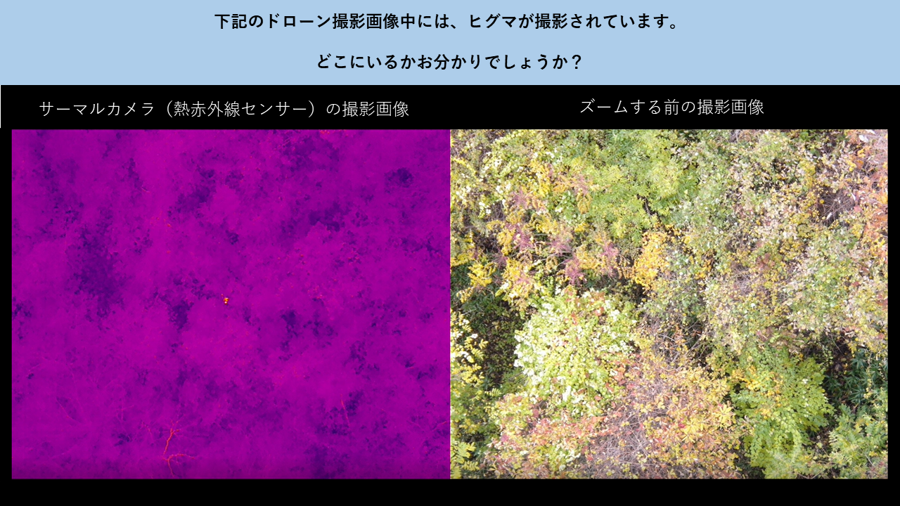 ドローン撮影画像 (PNG 1.2MB)