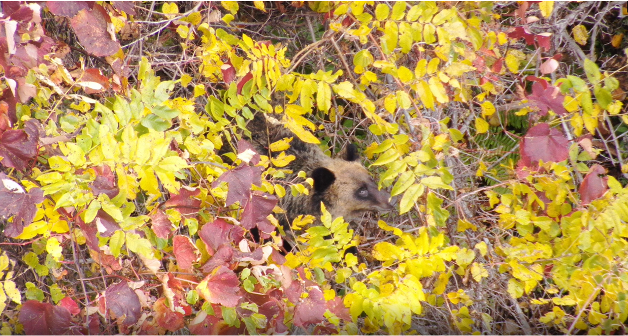 ドローン撮影画像_2 (PNG 1.64MB)