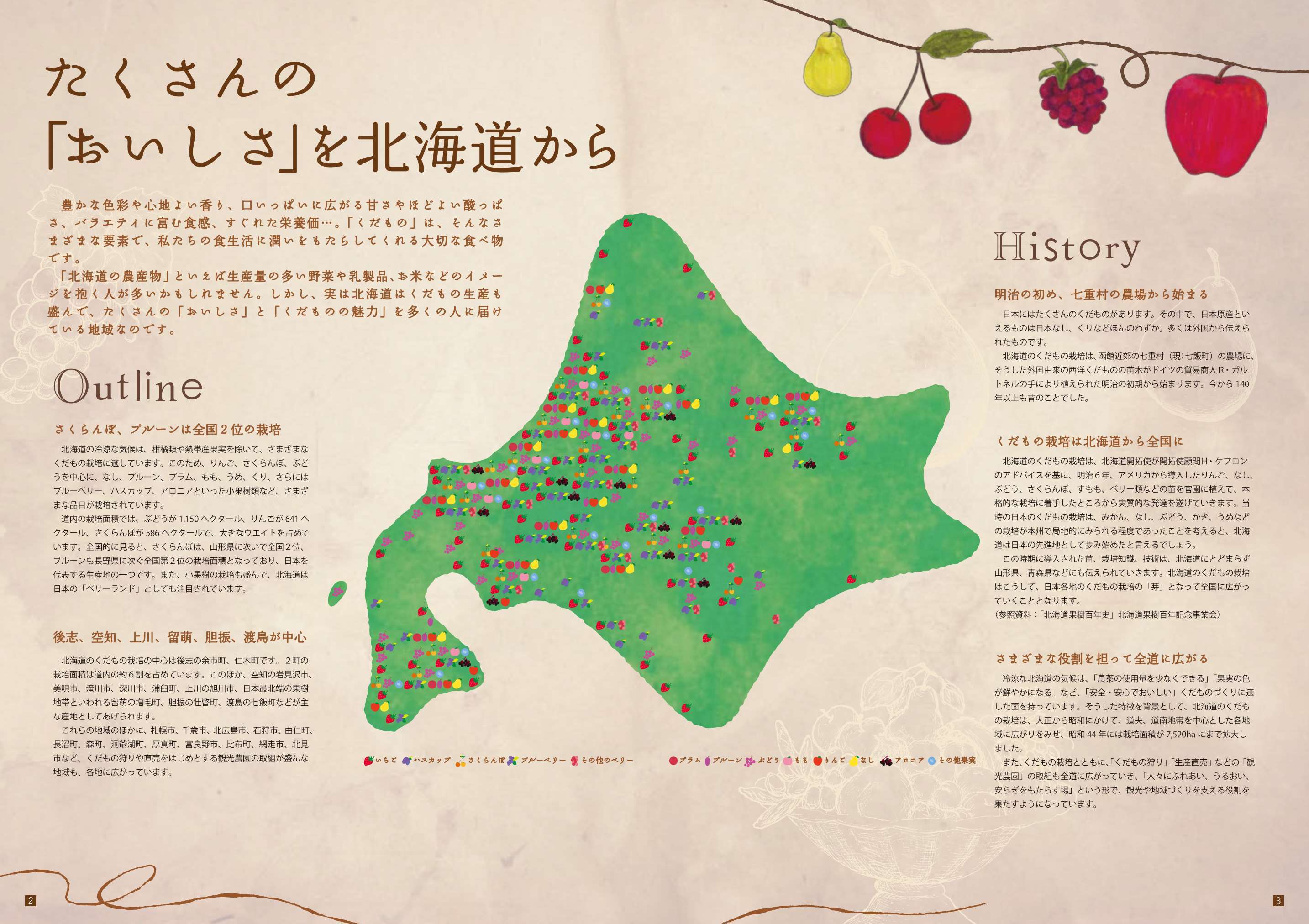 北海道の果実の概要とヒストリー
