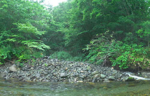 ネブサ沢と石崎川の合流地点