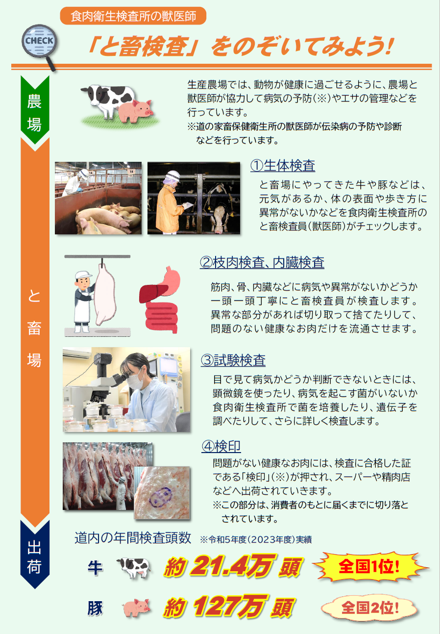 3 と畜場ではたらく獣医師.png