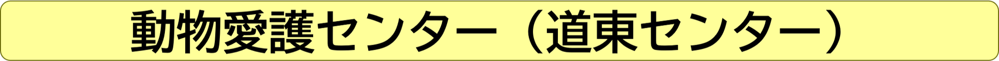 道東センター