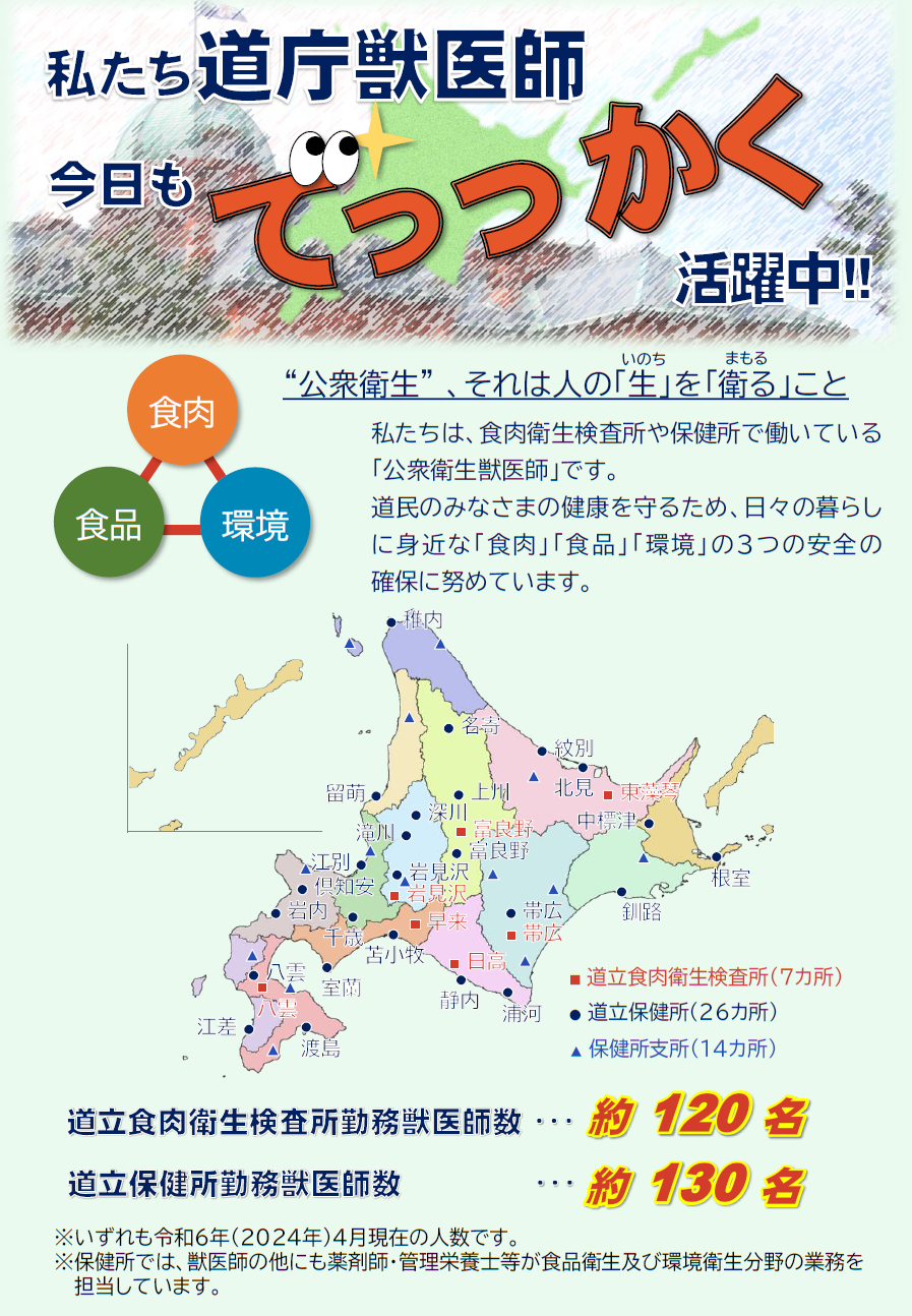 1 道庁ではたらく公衆衛生獣医師.png