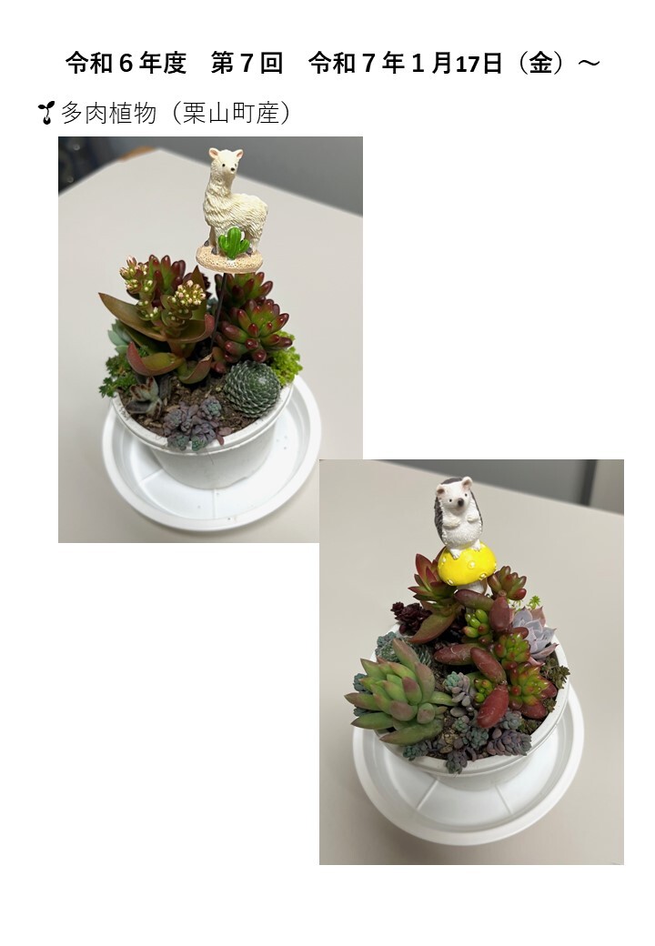 第7回写真 (JPG 77.8KB)