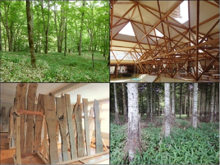 表紙画像：日高