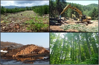 表紙画像：後志胆振