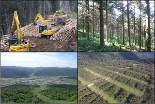 表紙画像：上川北部