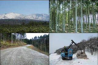 表紙画像：留萌