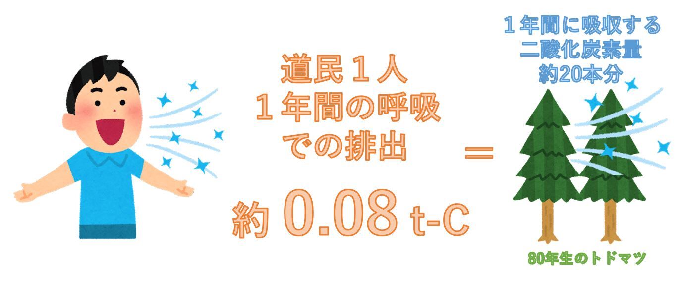 道民1人の1年間の呼吸