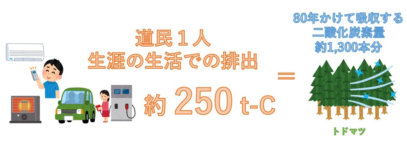 道民1人の生涯の生活