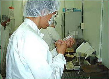 貝毒のマウス検査をしているところ