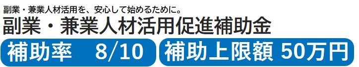 副業・兼業人材活用促進補助金