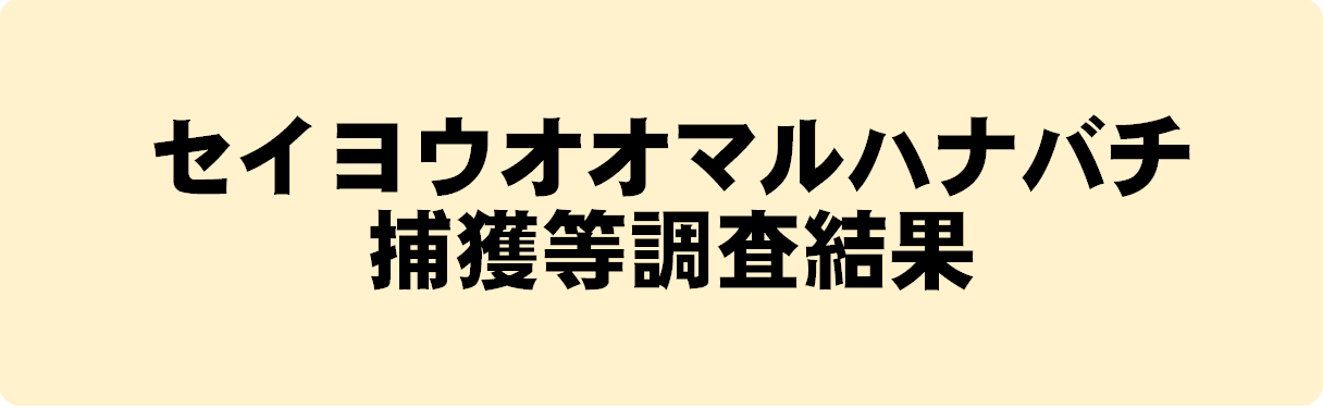 ○ セイヨウオオマルハナバチ捕獲等調査結果