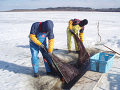 根室湾中部漁協
