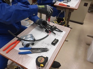 CIMG6114 (JPG 50.3KB)