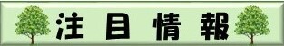 注目情報