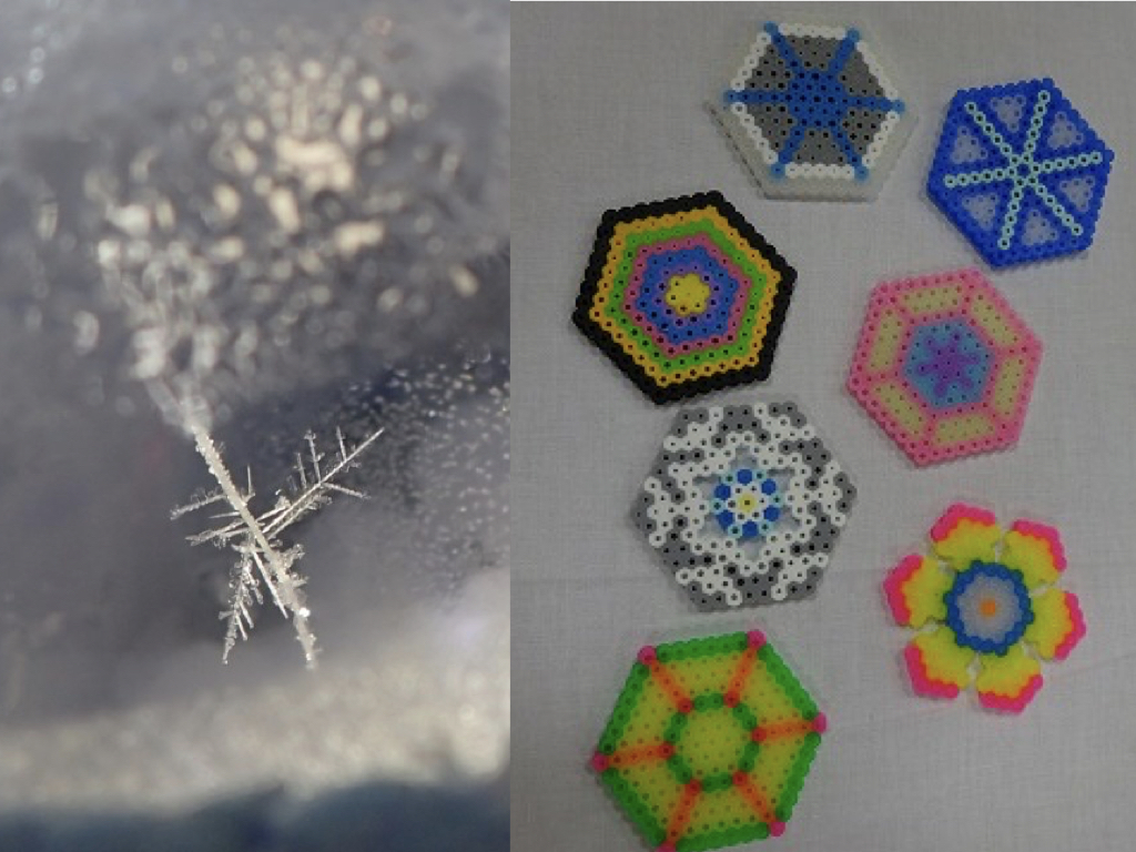 日本雪氷学会北海道支部