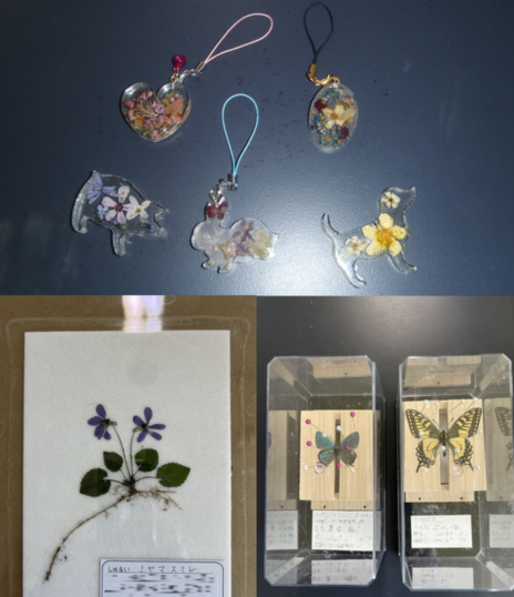 道総研林業試験場