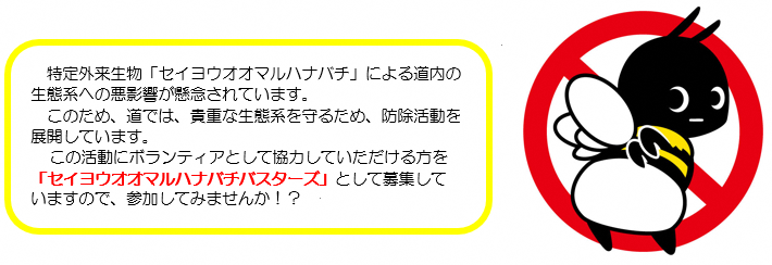 セイヨウオオマルハナバチバスターズのページ