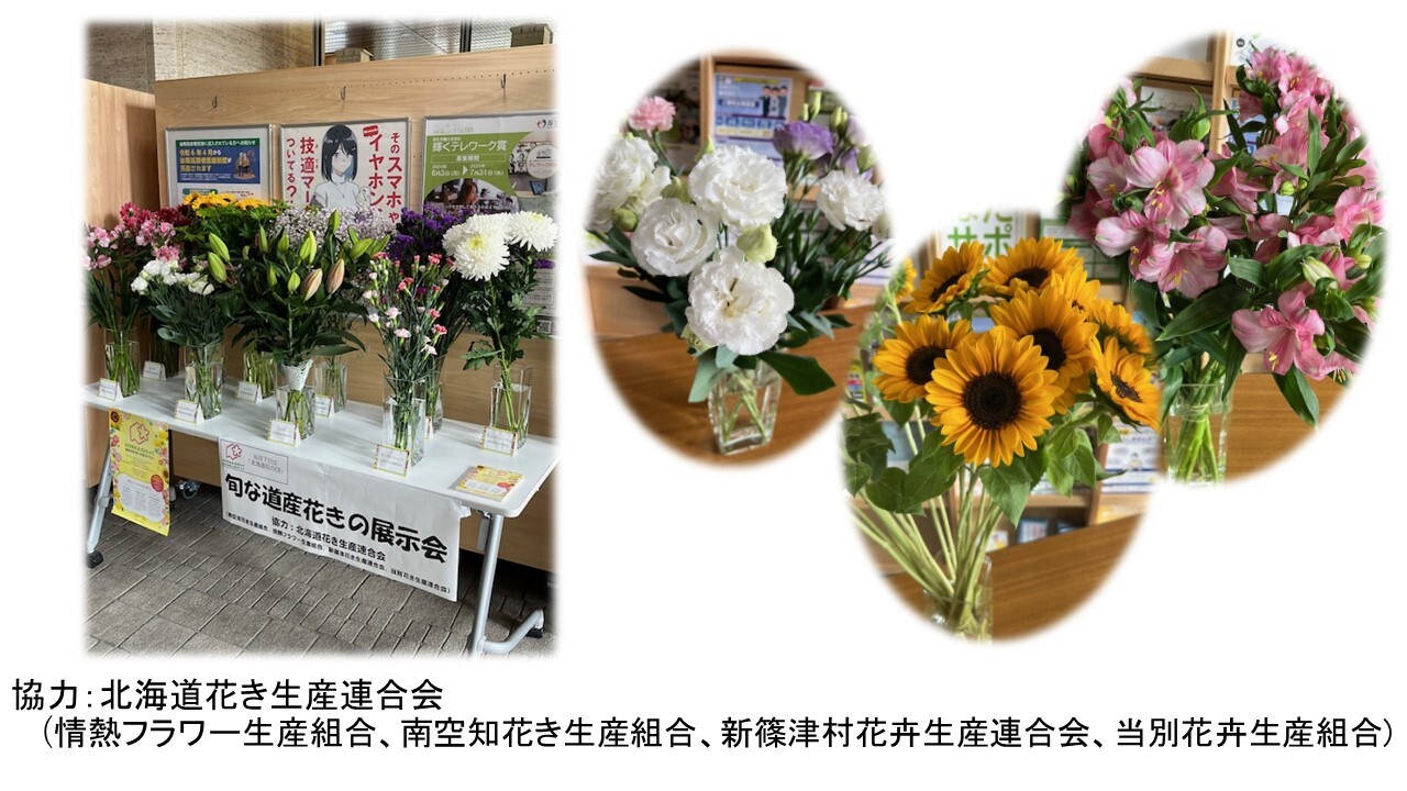 スライド1 (JPG 223KB)