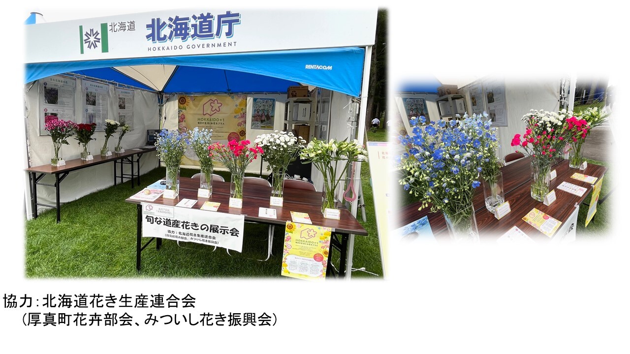 スライド3 (JPG 240KB)