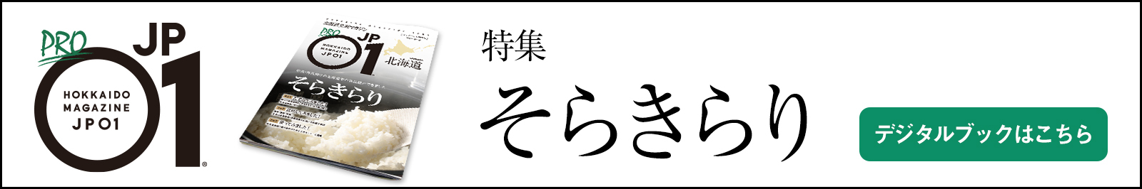 jp01_bnr (JPG 136KB)