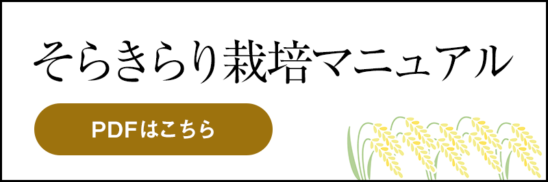 bnr_mannual_pdf (PNG 49.8KB)