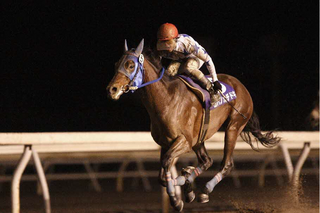 ホッカイドウ競馬の推進