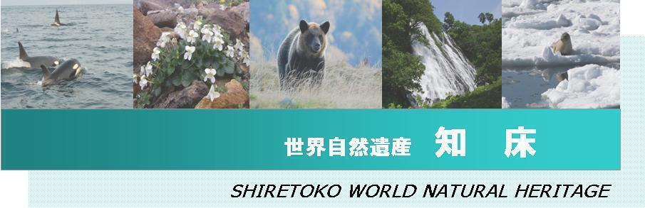 知床トップページ画像