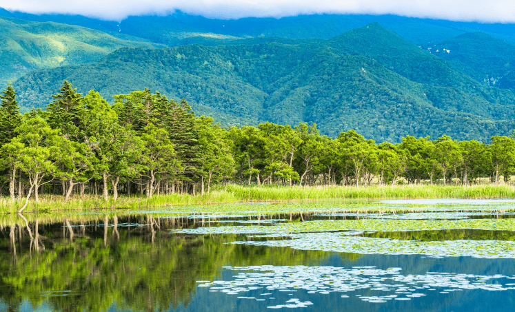知床国立公園の風景
