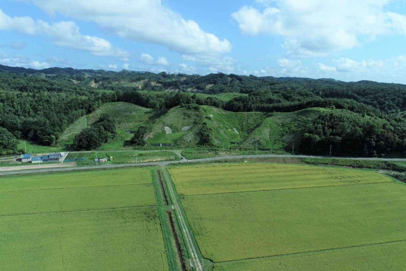 令和5年8月22日撮影