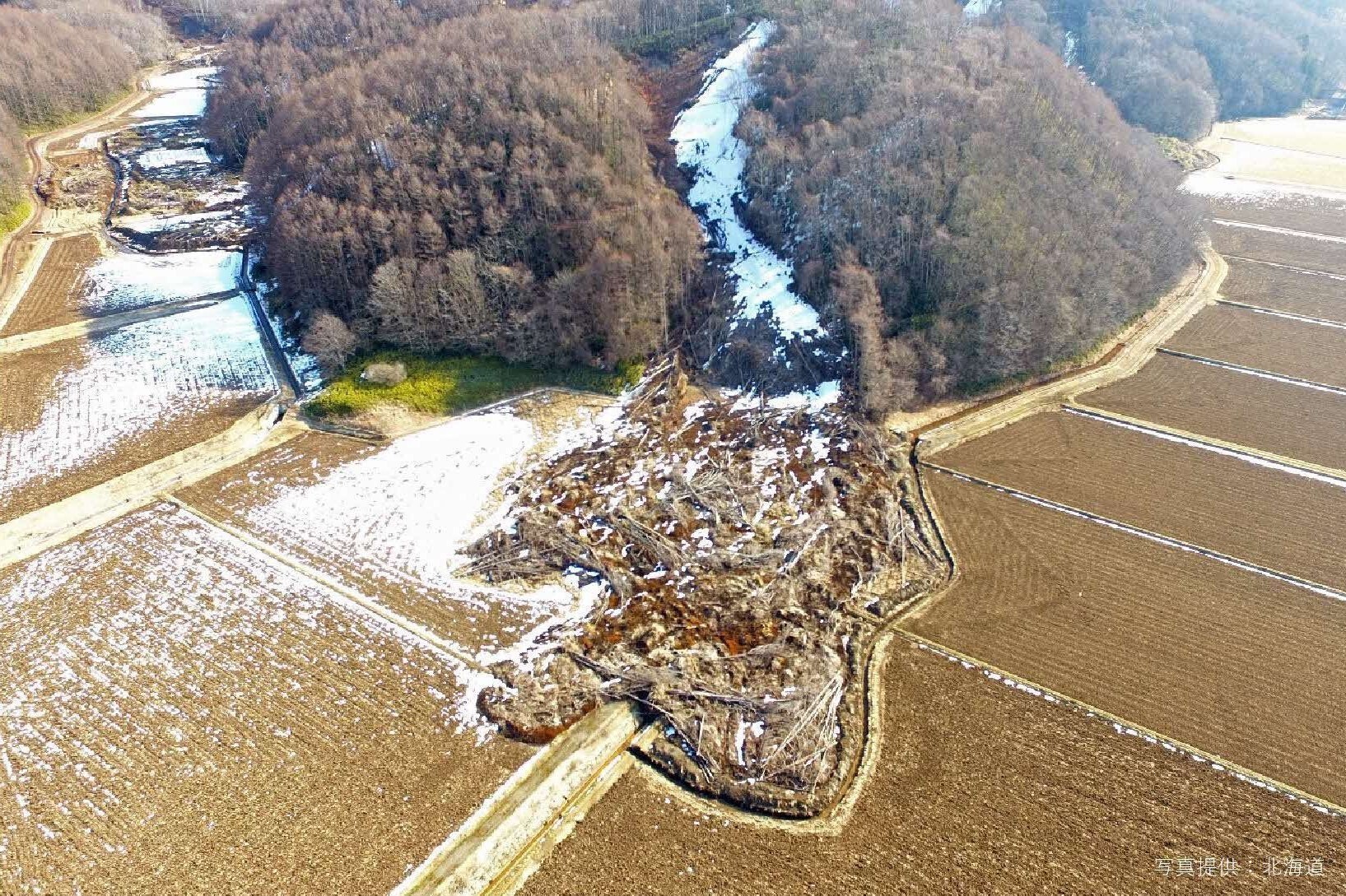 平成31年3月撮影